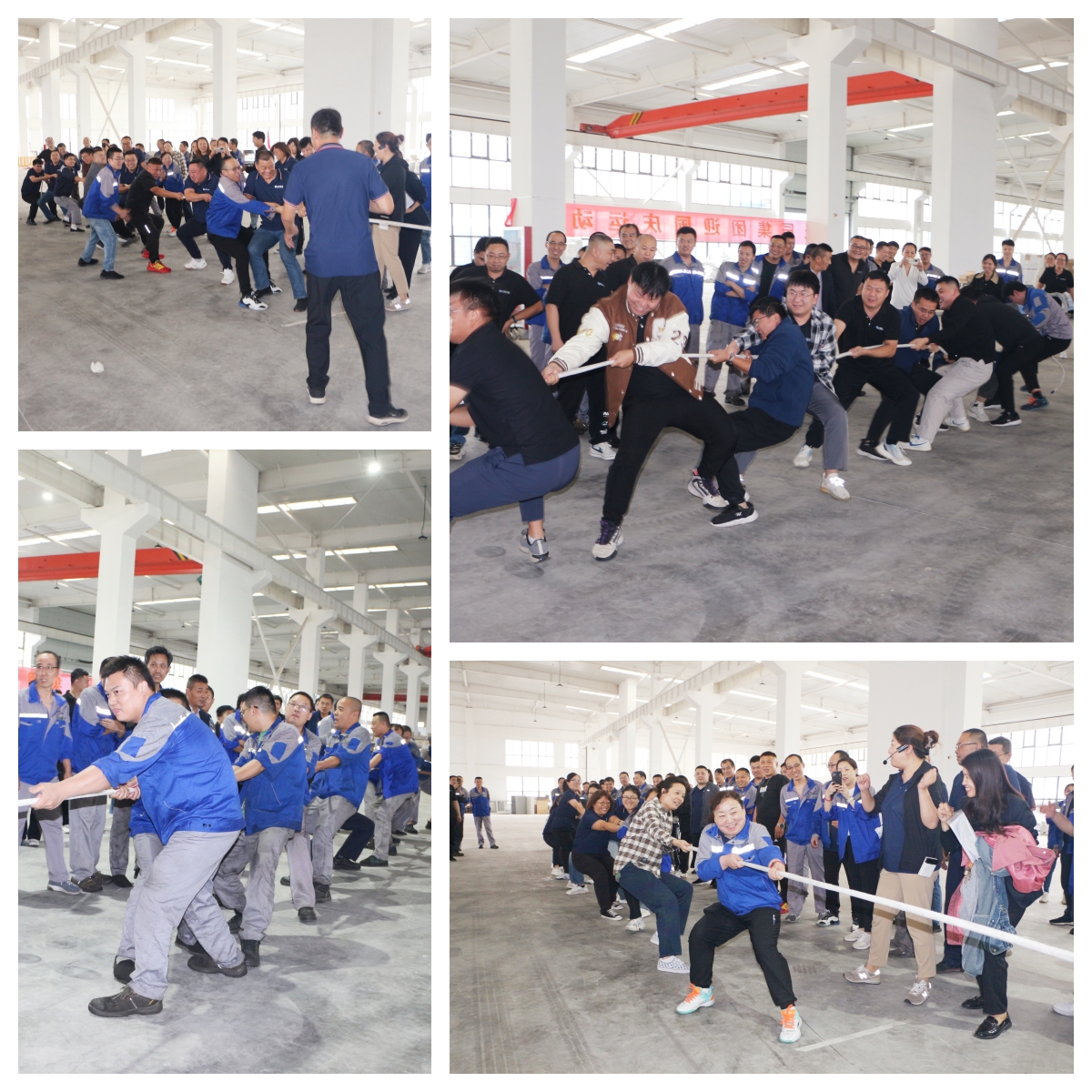 圖片 3 image3.jpeg